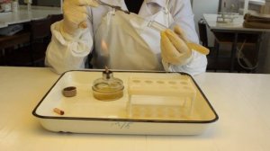 Посев на среду Гисса