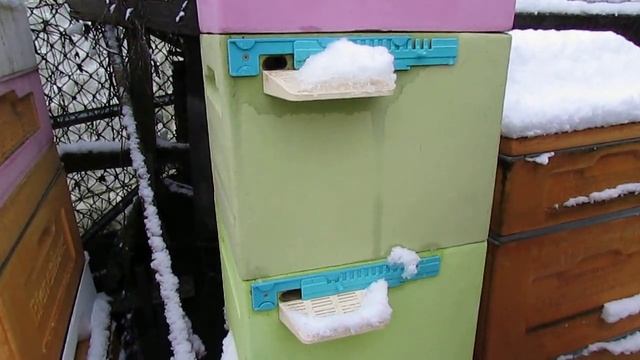 зимовка запасных маток и подкормка пчел в декабре канди с дрожжами 25.12.2024 смотреть онлайн