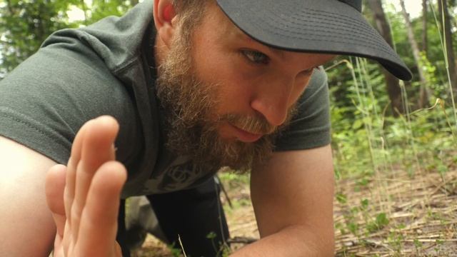Can BUCK BRIBE'S Liquid Calcium SAVE My FOOD PLOT?!? 18 Acre Deer Habitat (E.13)