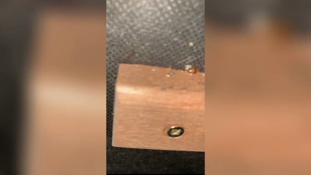 Уничтожение Клопов