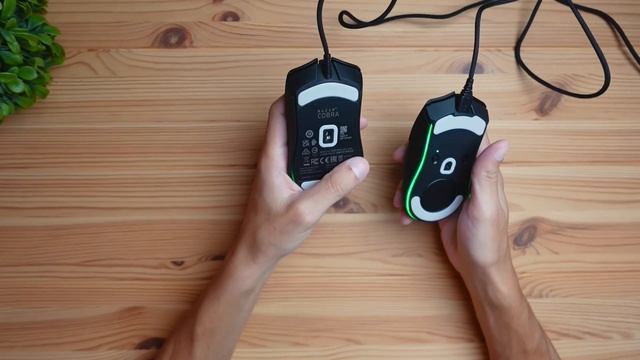 Razer Cobra Vs Cobra Pro Mouse | The Differences