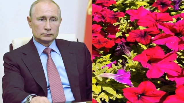 Сильный удар под дых! Неутешительные итоги саммита в Джидде! вам лучше присесть! смотреть онлайн