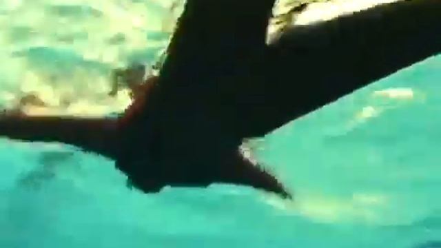Видео инструктаж на воде 10 класс смотреть онлайн