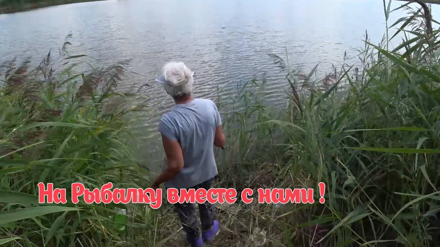 Рыбалка на карася и карпа! Клюет на каждом забросе ! Рыбалка на поплавочную удочку 2024 смотреть онлайн