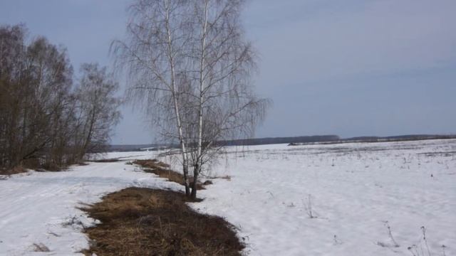 Енков Валерий Ностальгия Снежок Близнец Только ночь