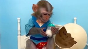 Обезьянка БОН БОН