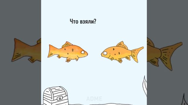 о чем думают животные