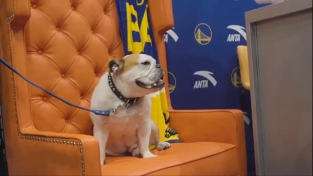 Anta KT5 2020 "Rocco" смотреть онлайн