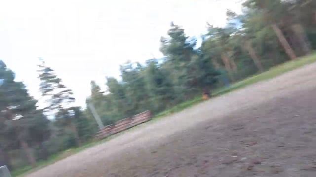 Каялов бор!!!!Прогулка смотреть онлайн