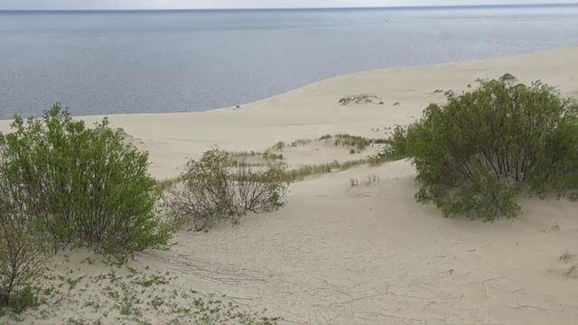 Куршская коса, Калининградская область смотреть онлайн