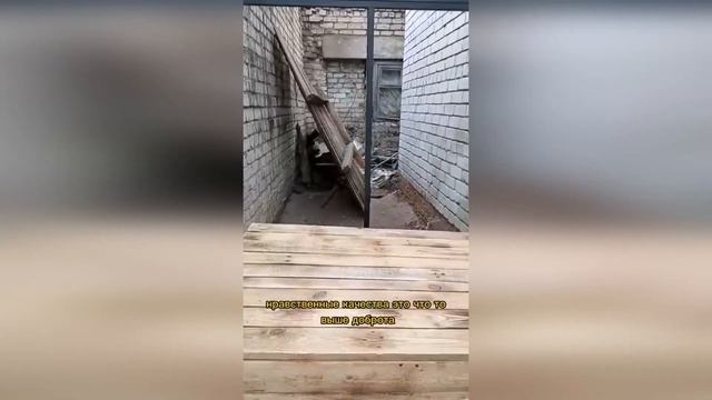 Строим вольер для многострадального Черныша смотреть онлайн