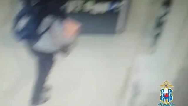 Ростовские полицейские задержали подозреваемого в пяти эпизодах краж смотреть онлайн