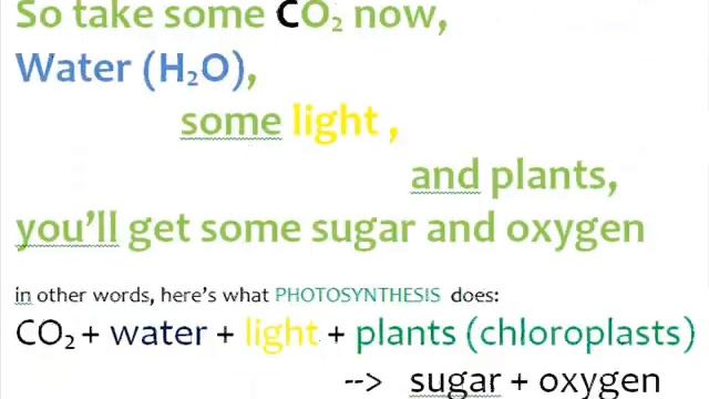 Classic Rock Science Songs - Do the Carbon Cycle - KARAOKE -as sung to Locomotion смотреть онлайн
