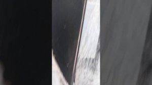 Силовой бампер Тойота Раум 1-го поколения