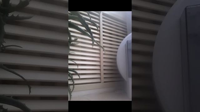 КОТО-ПРАНК!!!КОШКА В ШОКЕ!!!ПОДУШКИ-ПЕРДЮШКИ!!!ЛИНА МОРДА !!!НЕ ЗА ПЛАЧ смотреть онлайн