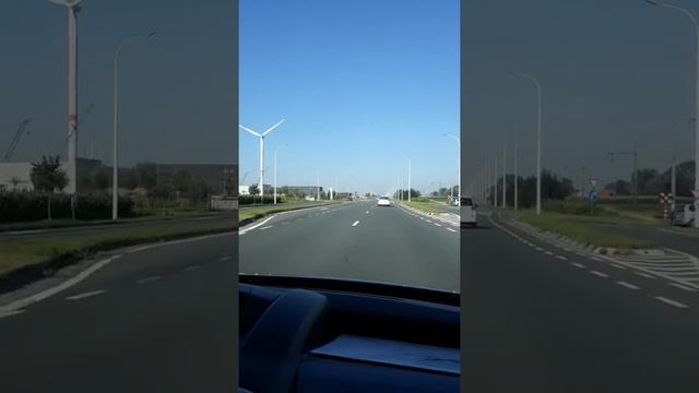 Едем в цветочный магазин 02.09.2018 смотреть онлайн