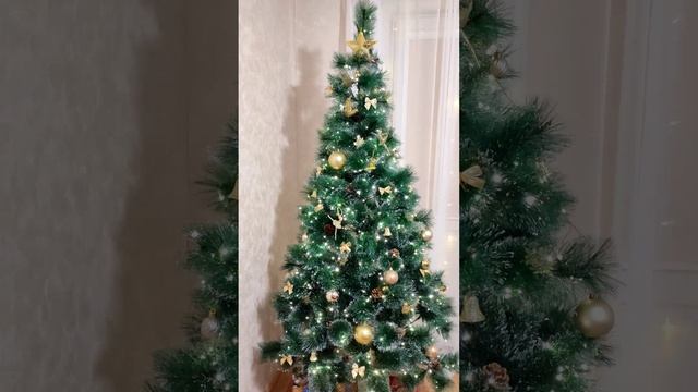 В ЛЕСУ родилась Елочка в ЛЕСУ пусть и смотреть онлайн