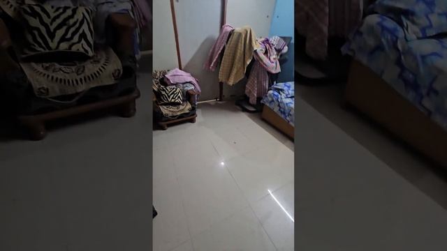 Orient Titan 100 Ltr. cooler Genuine unpaid review after using it. смотреть онлайн