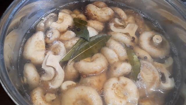 сад моей мечты и не только