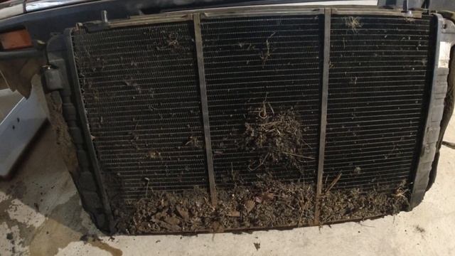 Now That's a Really Bad Water Pump! - Reliable Daily Driver V12 Jaguar XJS (part 2) смотреть онлайн