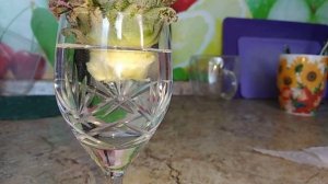 Как посадить ананас дома