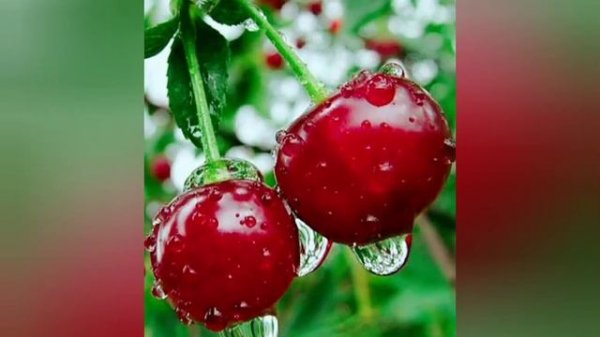 Песня роскажи на украинском языке.