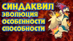 СИНДАКВИЛ. ЭВОЛЮЦИЯ, ОСОБЕННОСТИ, СПОСОБНОСТИ