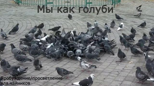 Fifty Shades of Grey. Пятьдесят оттенков серого смотреть онлайн