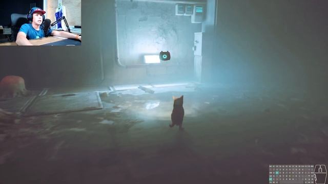 Сбор ресурсов, прокачка плота, получение достижений. RAFT #35 смотреть онлайн