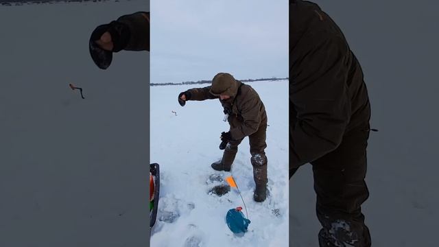 Жерлицы смотреть онлайн