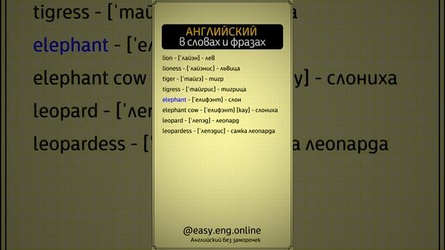 🚀 АНГЛИЙСКИЙ ДЛЯ НОВИЧКОВ | 🔖 Популярные английские слова с транскрипцией и переводом смотреть онлайн