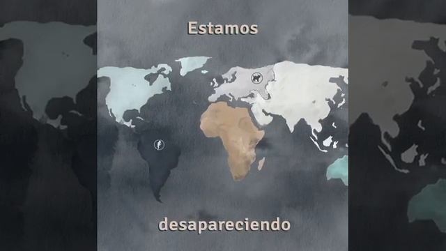 ANIMALES EN PELIGRO DE EXTINCION смотреть онлайн