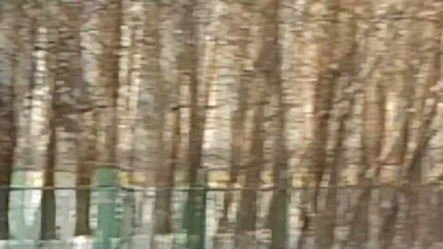 где находится стадион тгу смотреть онлайн