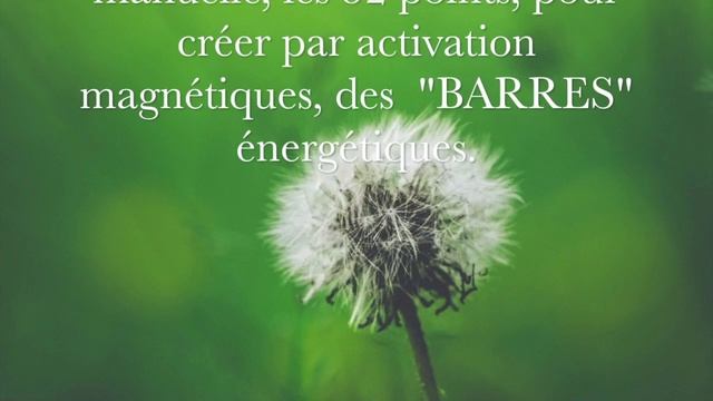 Access Bars® Français смотреть онлайн