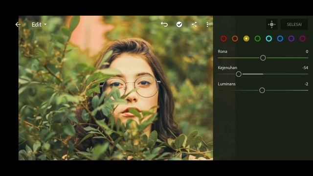 Tutorial Edit Foto Efek Blue Leaf | Adobe Lightroom CC Mobile смотреть онлайн