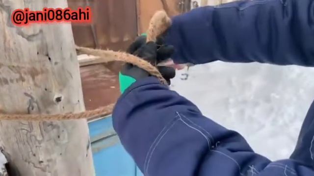 КҮРМЕЛЕП БАЙЛАУ смотреть онлайн