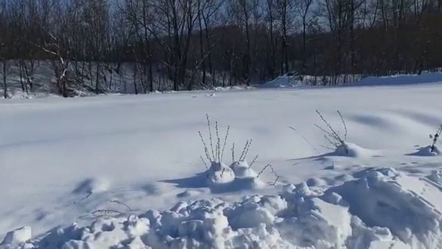 Ровный участок с газом! смотреть онлайн