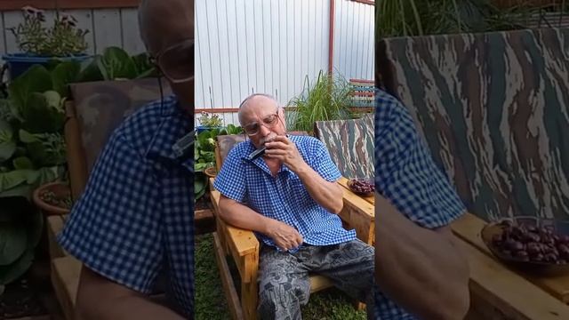 И.Истомин. Тарантелла. #гармоника_тремоло #гармоника смотреть онлайн