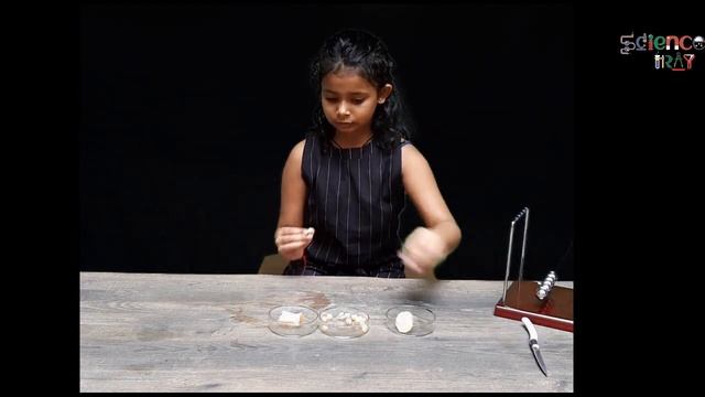 Test the presence of carbohydrates in food items : KIDS EXPERIMENT 7 смотреть онлайн
