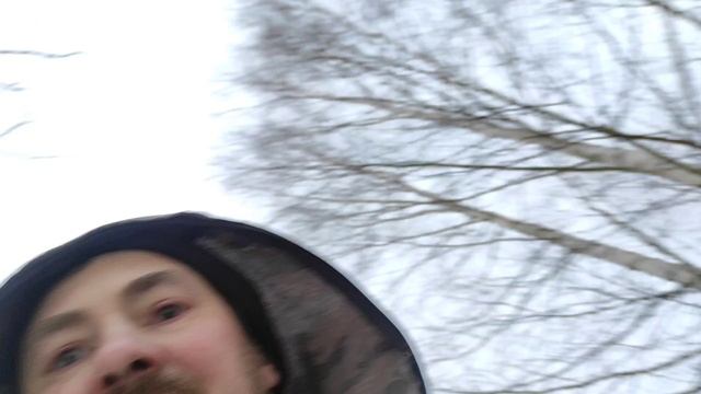 Пчеловодство.Птицы раздербанили ППС улья!Как дела у пчёл которым давал канди.Первые итоги зимовки.