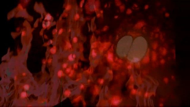 PUDDING LANE 01 08 2021 смотреть онлайн