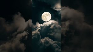 Я испарюсь, убегу, улечу словно птица. Lee Tonya.