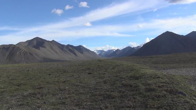 Часть 4 К ледникам Берилла 2014 смотреть онлайн