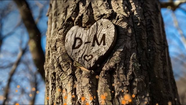 Эдгар Уоллес — Сокровище | аудиокнига