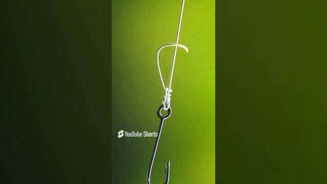 Ни хвоста, ни чешуи❗🐟 смотреть онлайн