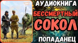 АУДИОРАССКАЗ | ПОПАДАНЕЦ: БЕССМЕРТНЫЙ СОКОЛ