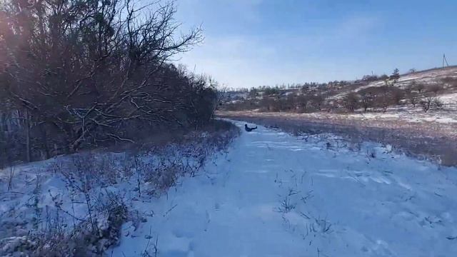 Даже не думал, что так здорово покатаемся смотреть онлайн