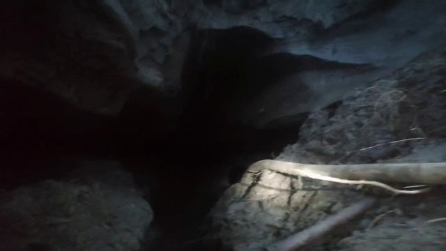 Якутия добычя бивней