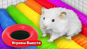 Хомяк выбирается из Лабиринта с ПОП ИТ ловушками 🐹 Видео для детей