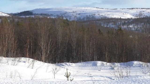 Природа Крайнего Севера смотреть онлайн